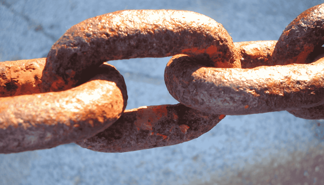 LinkedIn에서 인증 받기 및 이메일 BIMI 인증 받기